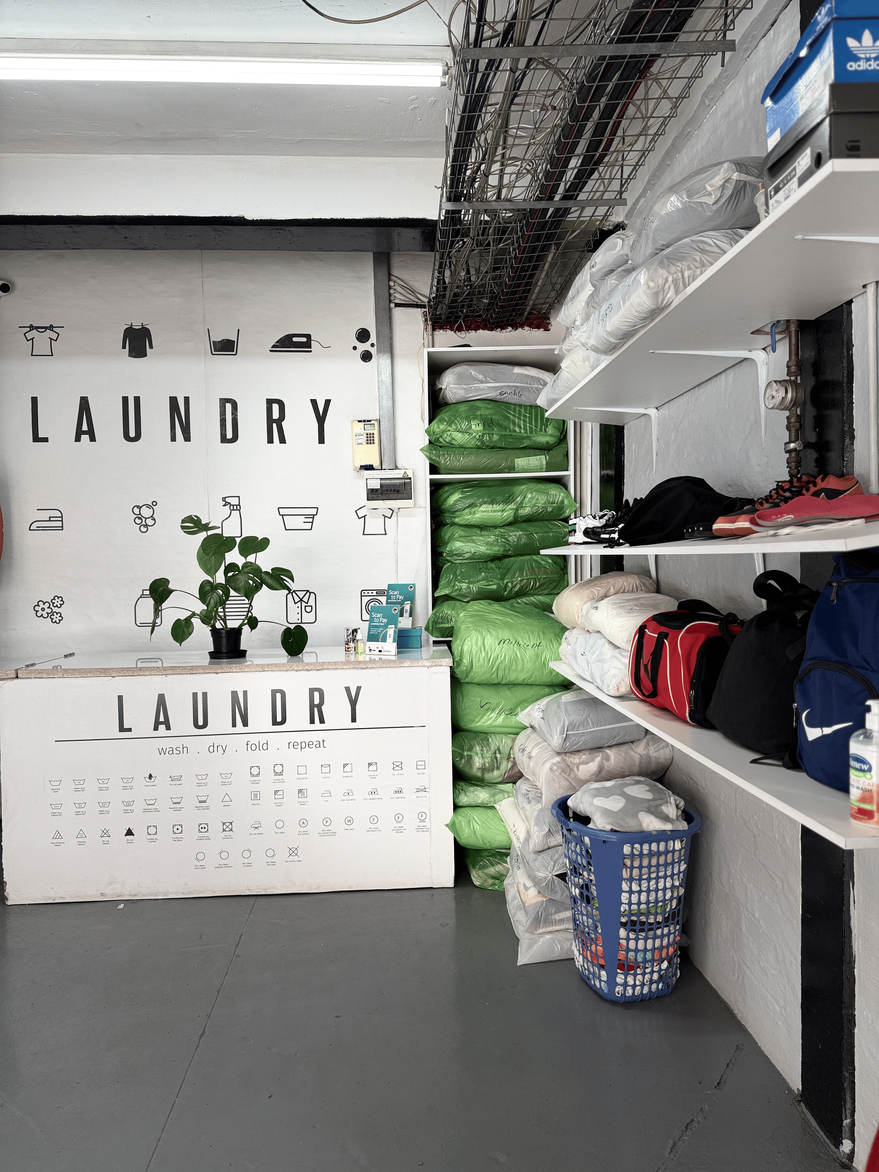 Purestart Laundry service
